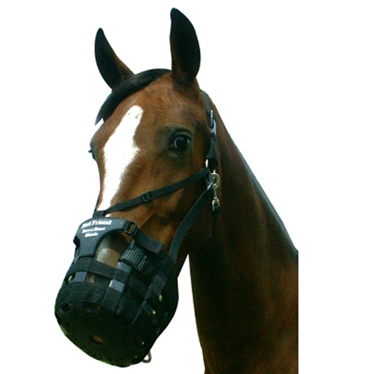 Deluxe Have a Heart Grazing Muzzle & Halter