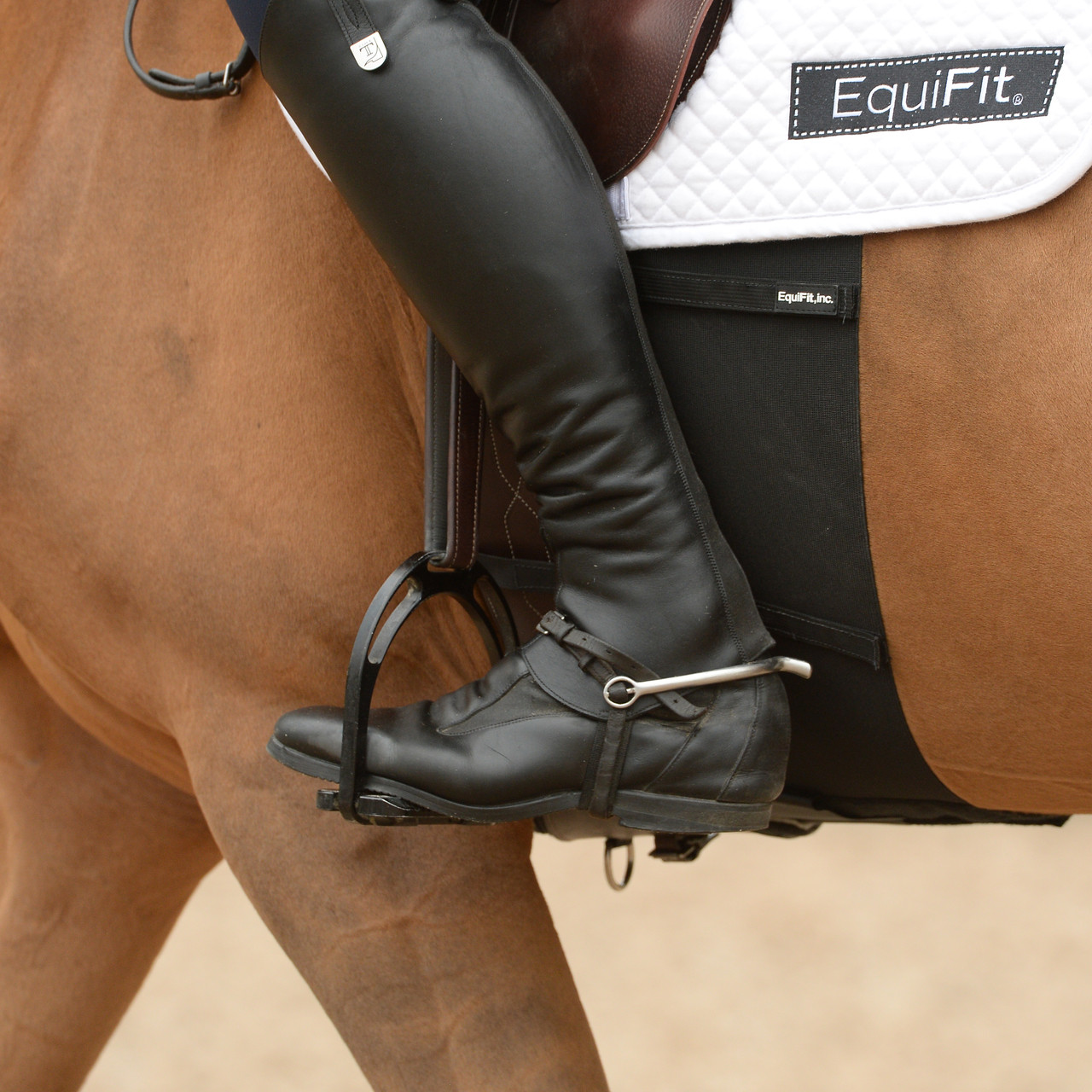EquiFit BellyBand