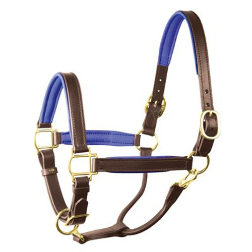 Perri's Padded Leather Halter