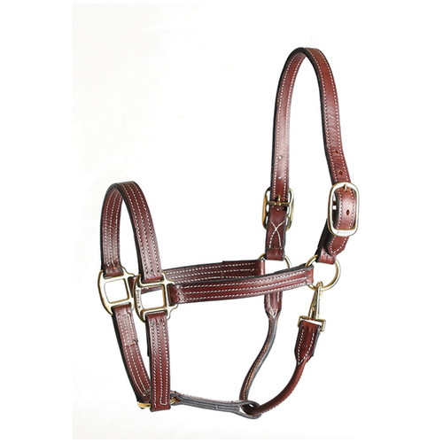 Perri's Padded Leather Halter