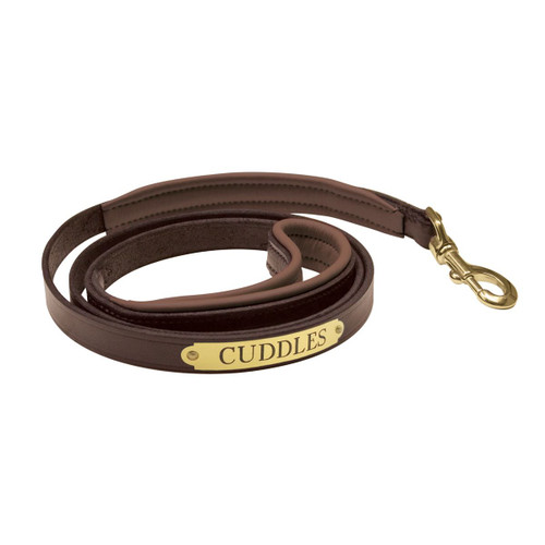 Louis Pup Black Monogram Leather Collar & Leash