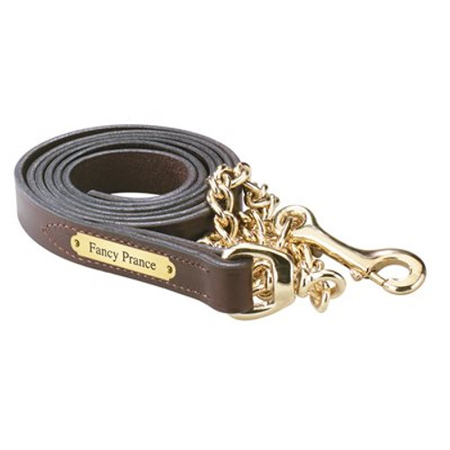 Perri's® Padded Leather Nameplate Dog Collar