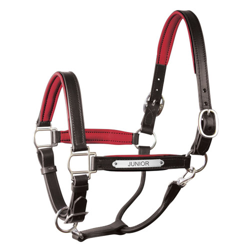 Perri's Padded Leather Halter