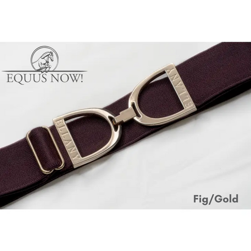 Ellany Women's Brown Tribal - 2 Silver Stirrup Elastic Belt
