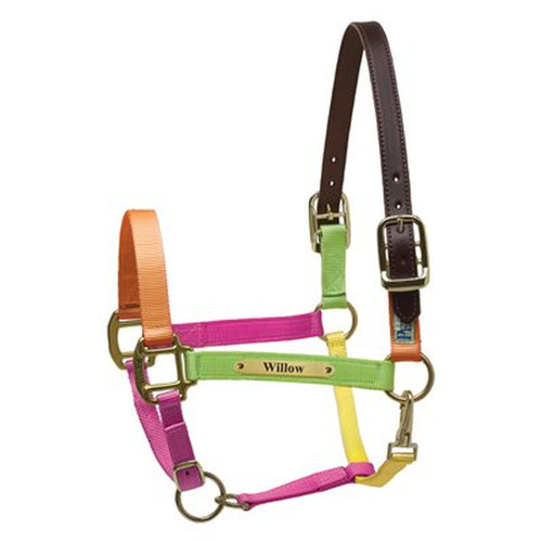 Perri's® 1 Padded Leather Halter with Nameplate