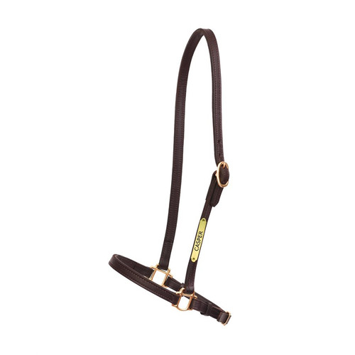 Perri's Twisted Leather Halter with NAMEPLATE - Equus Now!