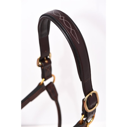 Perri's Fancy Stitched Leather Halter - Equus Now!