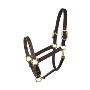 Perri’s® 1 Padded Leather Halter with Nameplate