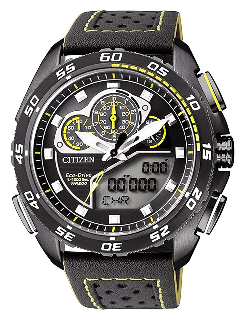 citizen promaster digital