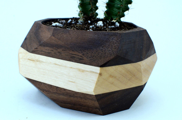 Geometric Cactus & Succulent Planter