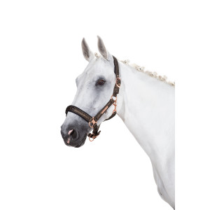 Eskadron Heritage Glitter Mesh Headcollar Black Eskadron Heritage Glitter Mesh Headcollar Black