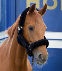 Cameo Equine Fluffy Deluxe Faux Fur Headcollar Black