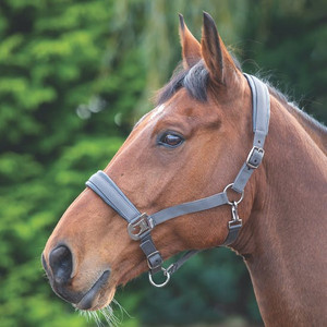 Shires Padded Headcollar Grey Shires Padded Headcollar Grey