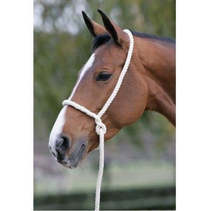 Elico Rope Halter White