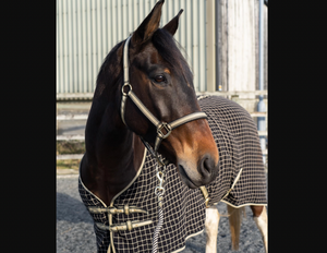 Cameo Core Collection Cooler Rug Cameo Core Collection Cooler Rug