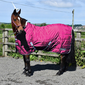 John Whitaker Crompton 100g Stable Standard Neck Rug Raspberry John Whitaker Crompton 100g Stable Standard Neck Rug Raspberry