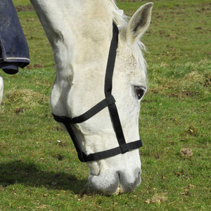 Rhinegold Field Safe Headcollar Black Rhinegold Field Safe Headcollar Black