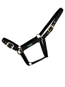 Cameo Padded Headcollar Black Cameo Padded Headcollar Black