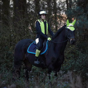 Harry Hall Lockton Special Reflective Riding Gloves Yellow Harry Hall Lockton Special Reflective Riding Gloves Yellow
