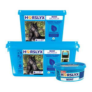 Horslyx Mint Balancer Horslyx Mint Balancer
