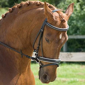 Rhinegold White Lined Swarovski Crystal Bridle Rhinegold White Lined Swarovski Crystal Bridle