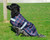 Rhinegold Waterproof Dog Coat