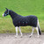 Masta Fleece Base Layer Rug