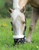 Shires Deluxe Comfort Grazing Muzzle Shires Deluxe Comfort Grazing Muzzle