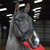 John Whitaker Ready to Ride Snaffle Bridle Black John Whitaker Ready to Ride Snaffle Bridle Black