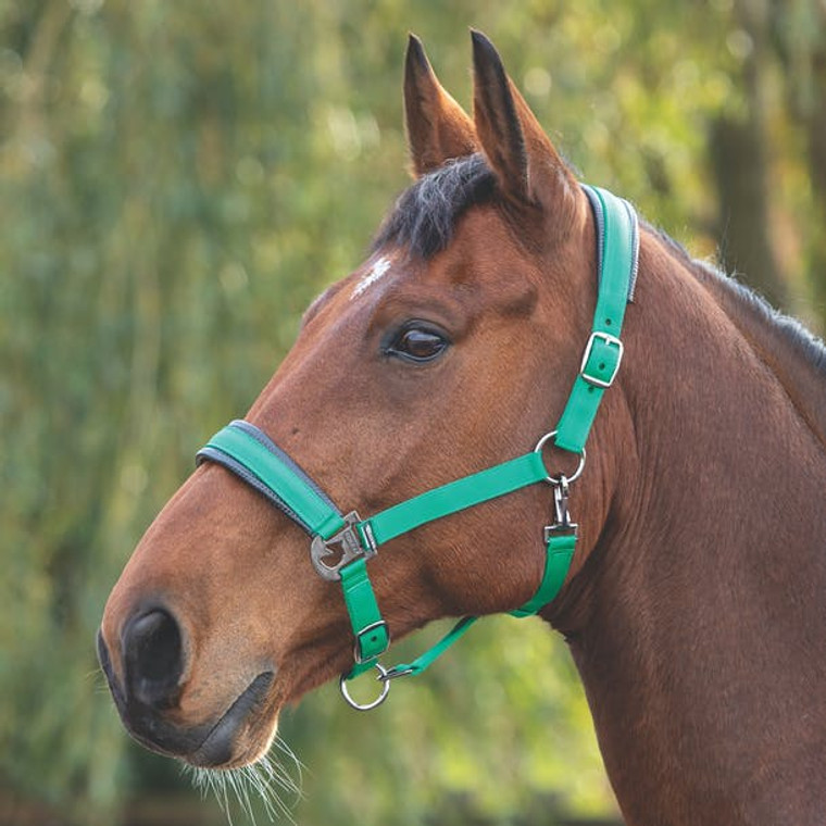 Shires Padded Headcollar Green