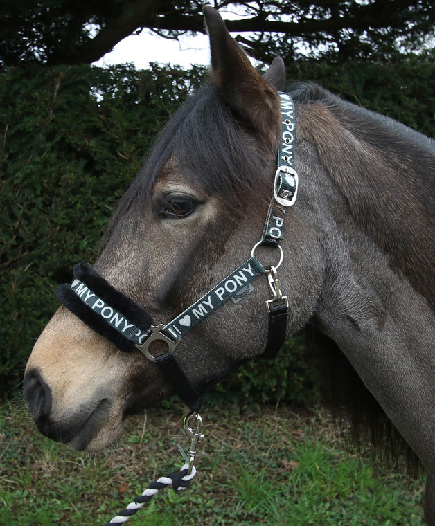 Rhinegold Love my Pony Headcollar & Leadrope Set Black/Silver