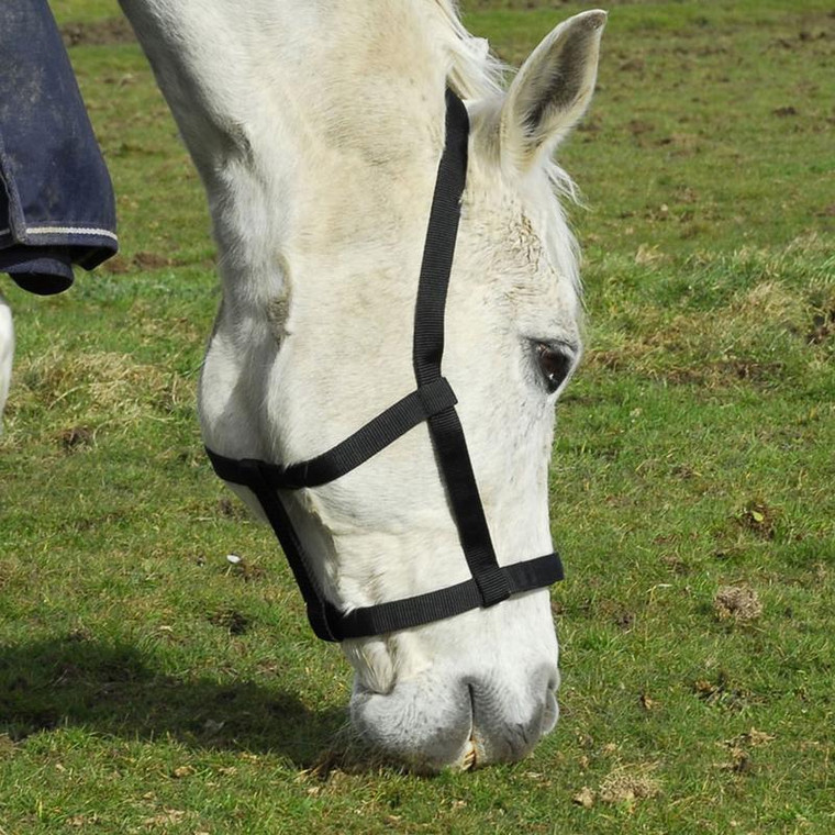 Rhinegold Field Safe Headcollar Black