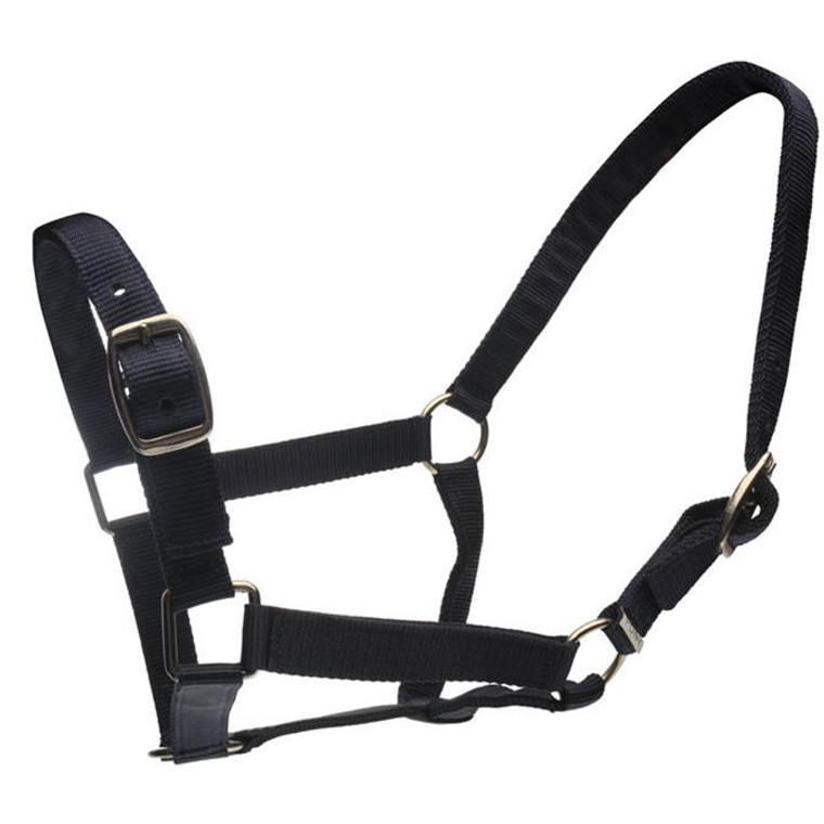 Roma Headcollar