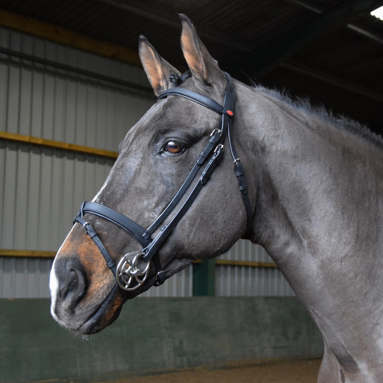 John Whitaker Ready to Ride Snaffle Bridle Black