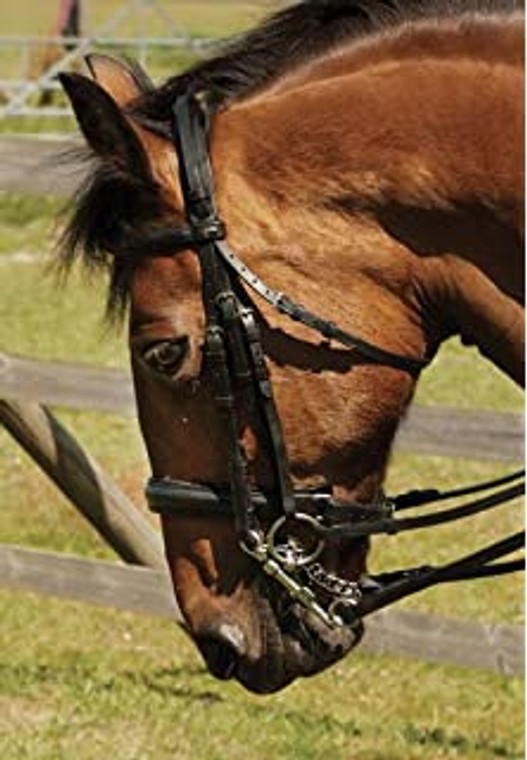 Heritage Leather Double Bridle Brown