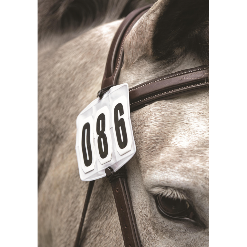 Bridles & Bridle Accessories