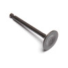 Champion Intake Valve 100004517