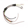 Champion Wire Assembly, 100102 100102.21.10