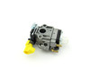 Champion Carburetor Assembly 2320121674