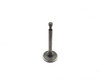 Champion Exhaust Valve 15702-LC90-0000