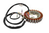 Generac Assy, Stator 0H43470126