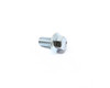 Champion Hexagon Flange Bolt, M6 x 10, White Zinc 90001-0610-01A1