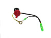 Generac Switch, On/Off Red-Rotary 0G9911