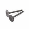 Generac Intake & Exhaust Valves Set Of 2 0J35230140