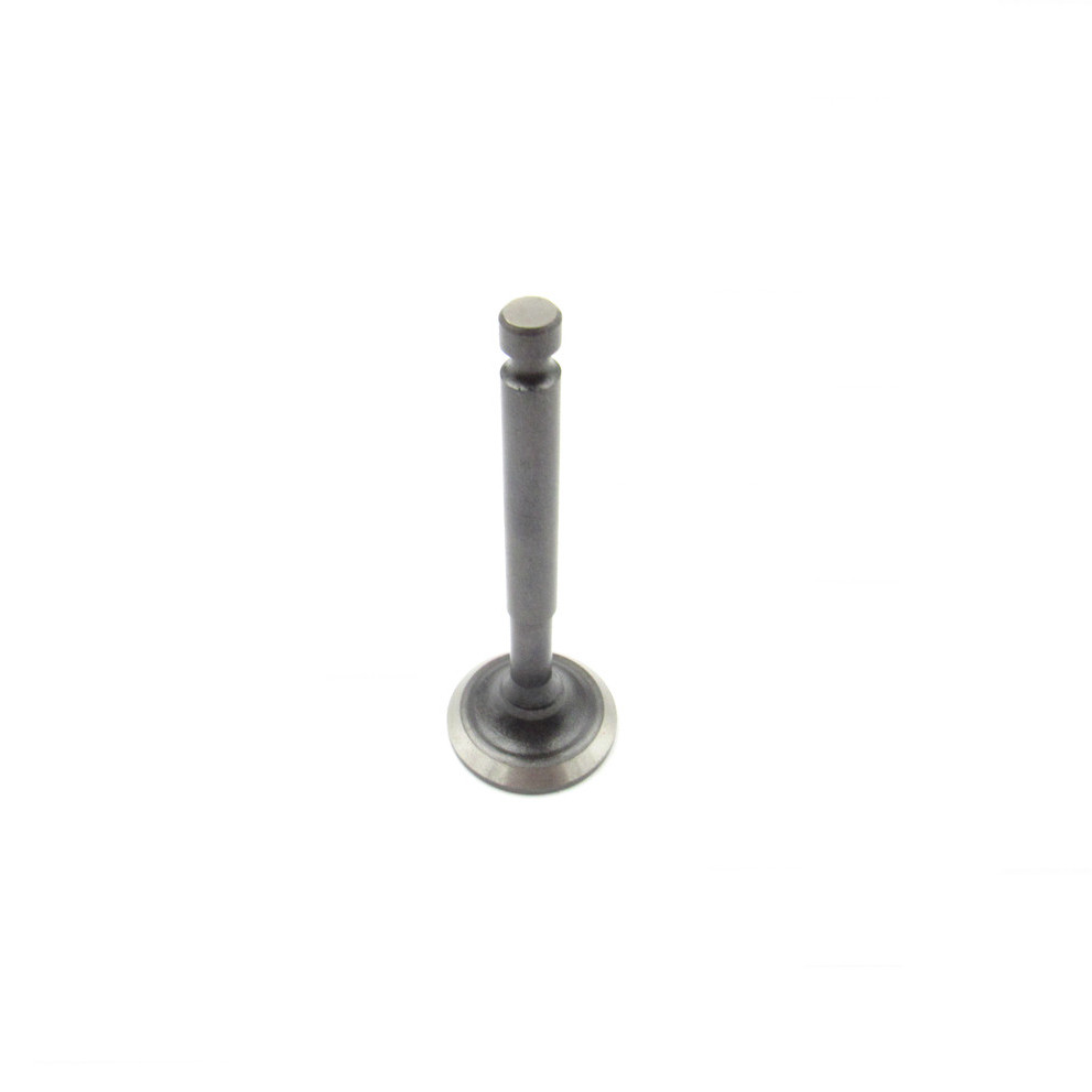 Generac Exhaust Valve 10000006847