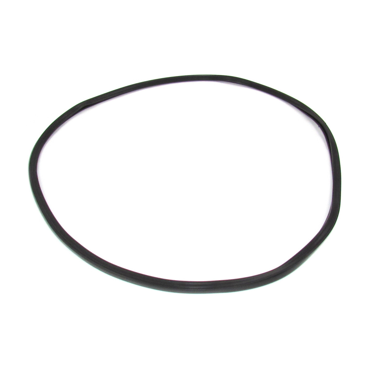 Generac Gasket Lens - Oval Light 10000022305