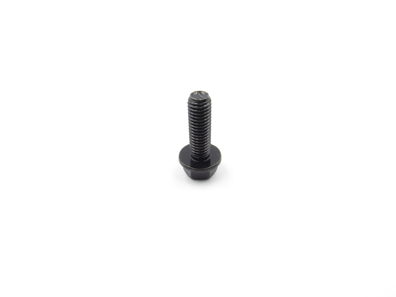 Champion Power Equipment Flange Bolt M8 x 25, Black 1.5789.0825.1