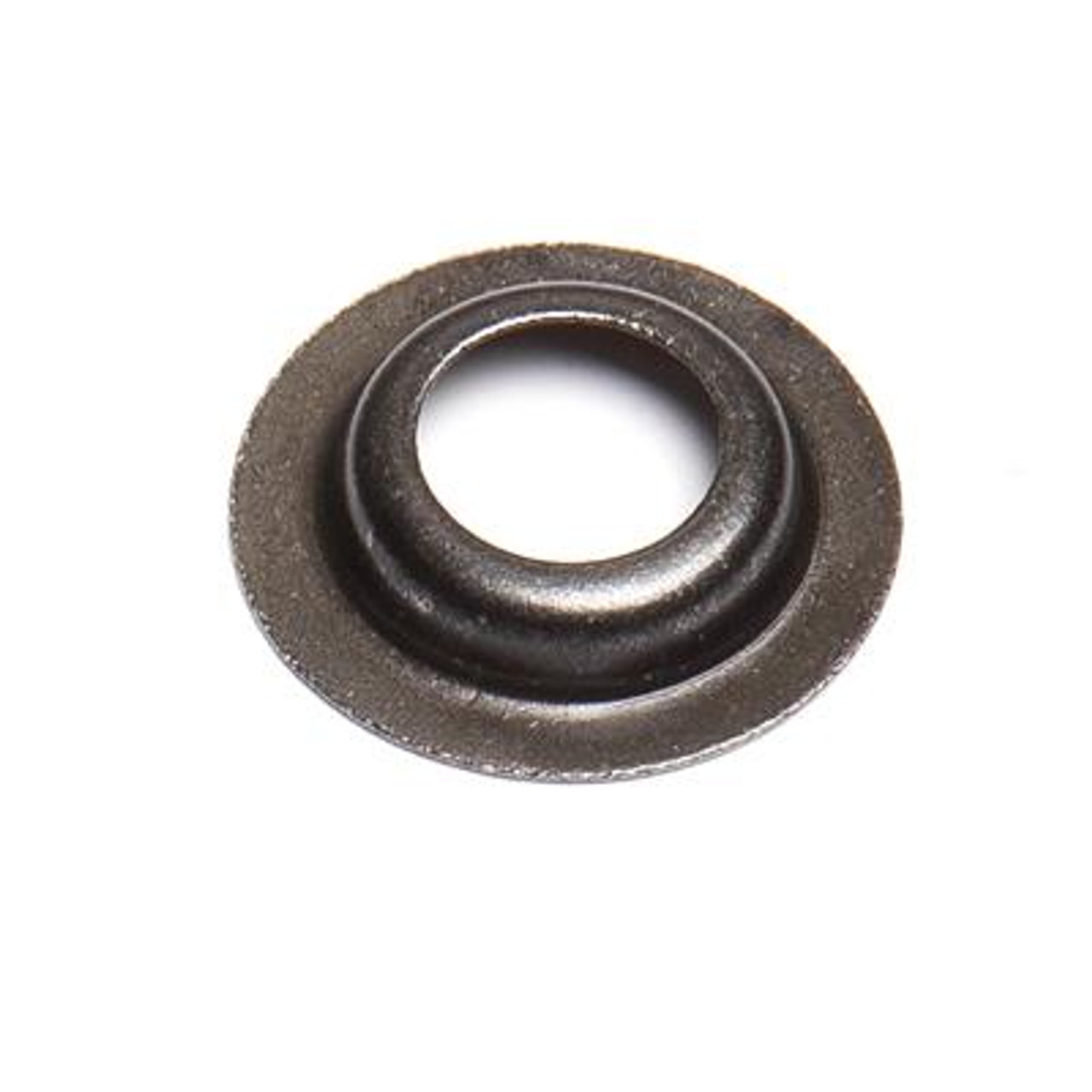 Champion Valve Spring Seat, 173F 100004575