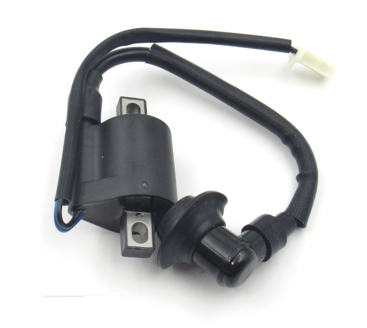 Champion Ignition Coil 100075041