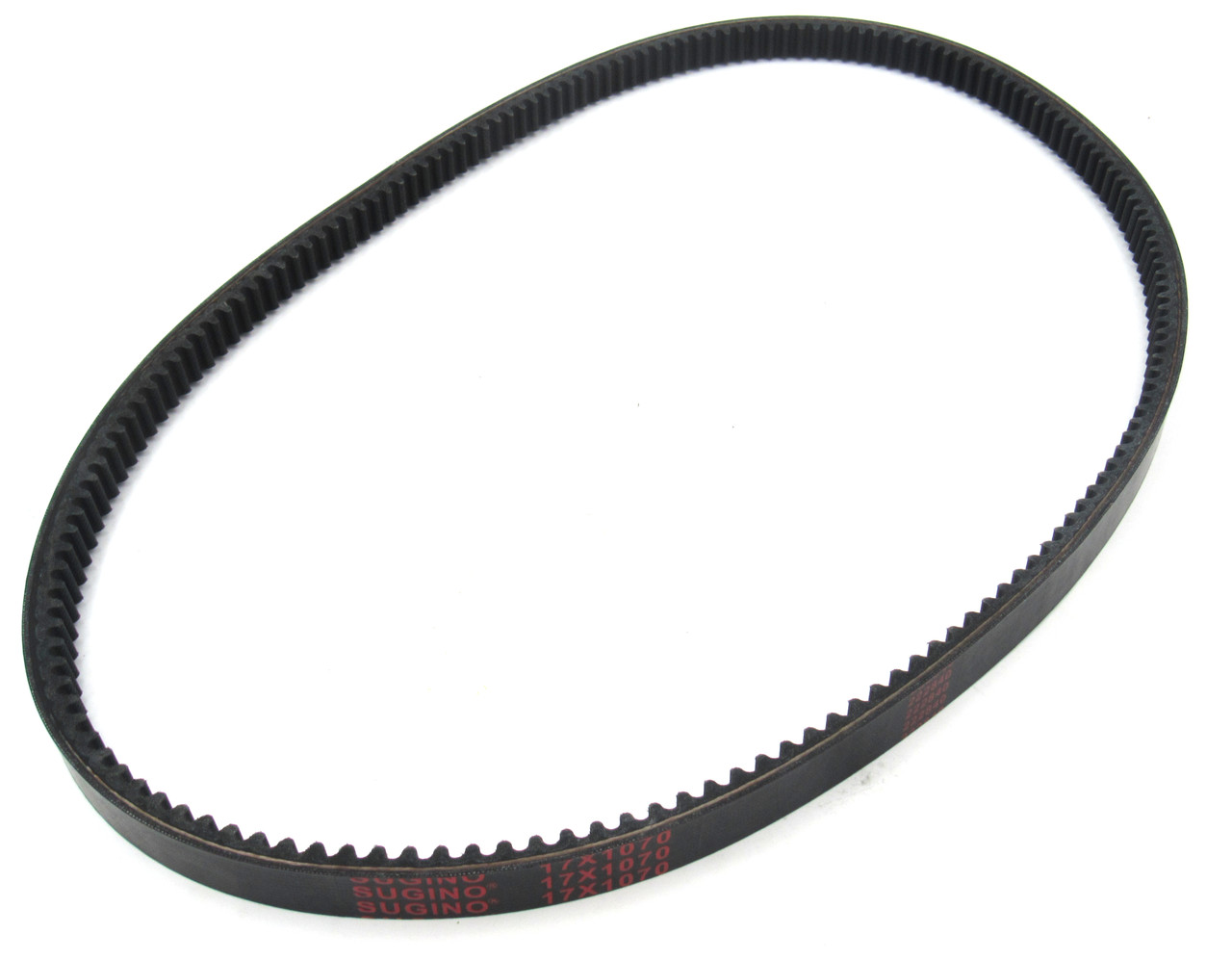 Champion Forward Belt 17 x 1070 100379-081